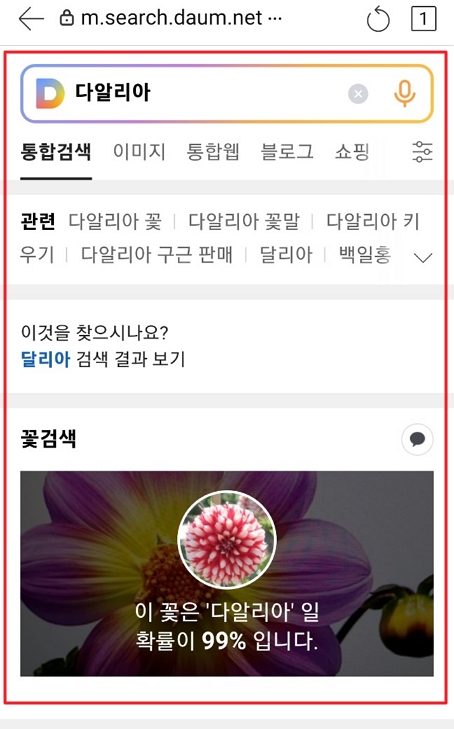 다음 앱 꽃 검색 결과