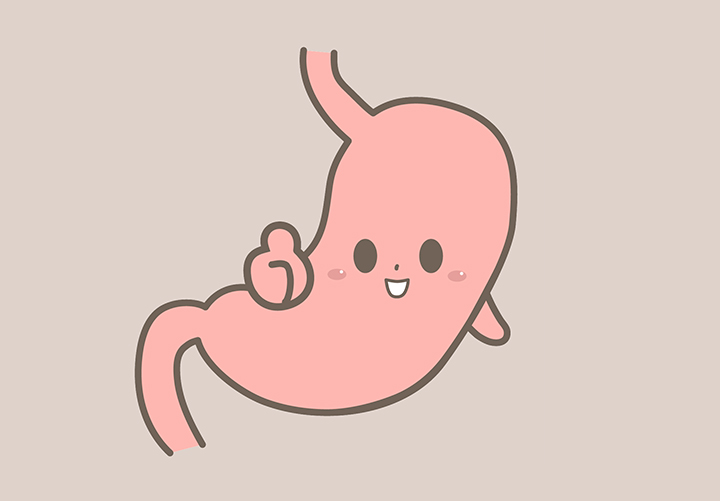 건강한-위의-모습