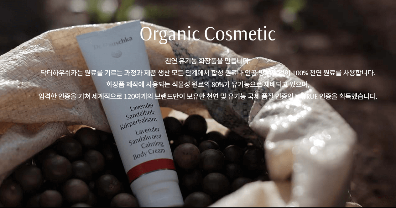 닥터 하우쉬카