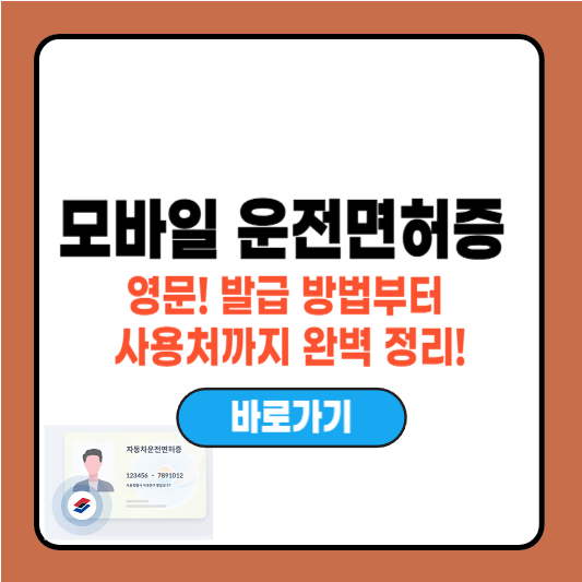 모바일 운전면허증 영문! 발급 방법부터 사용처까지 완벽 정리!