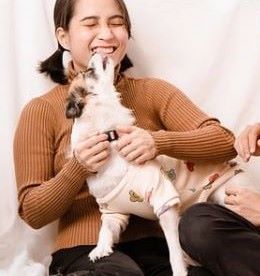 강아지가 핥는 이유