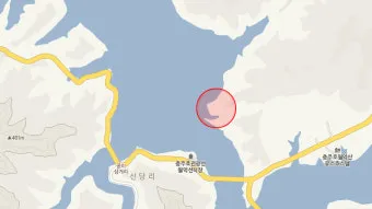 낚시 포인트 찾기 네이버 지도 위성사진 물길 확인법_11