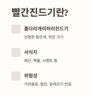 빨간진드기란?