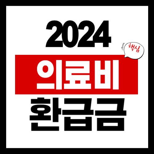 2024년 의료비 환급금