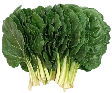 한국의 떡 종류 근대떡