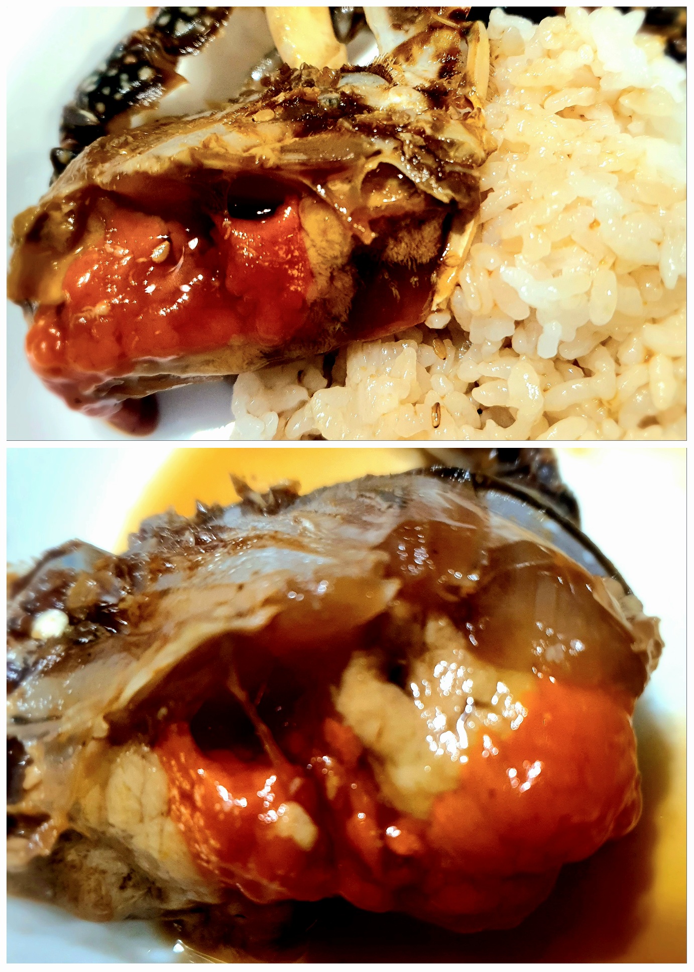 밥에-비벼-먹어도-맛있어요.