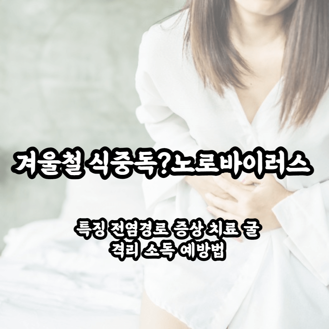 노로바이러스의 특징과 전염경로 증상 굴 격리 진단 치료