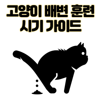 고양이 배변 훈련 시기, 방법 실패 없는 초보 집사 가이드