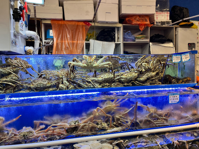 킹크랩&amp;#44; 대게 및 어패류 모습