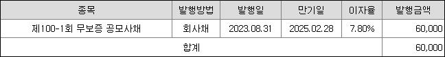 이랜드월드 채무상환자금