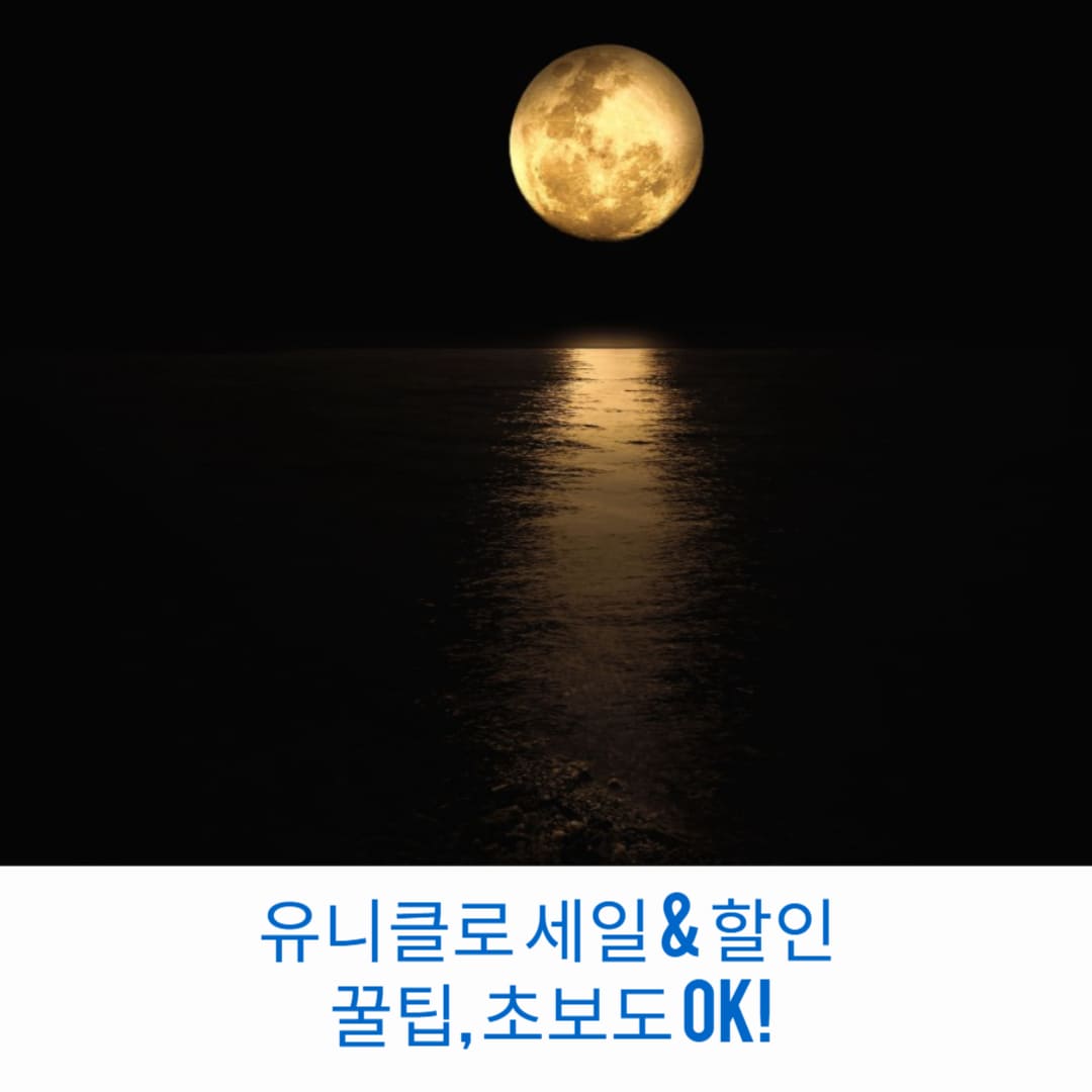 유니클로-세일-할인-꿀팁-초보도-OK-썸네일