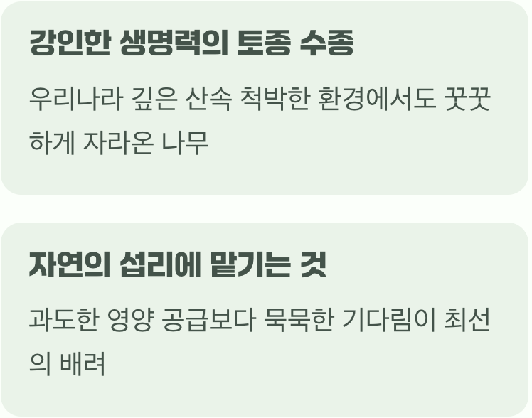 과한 사랑을 거부하는 묵묵한 성품