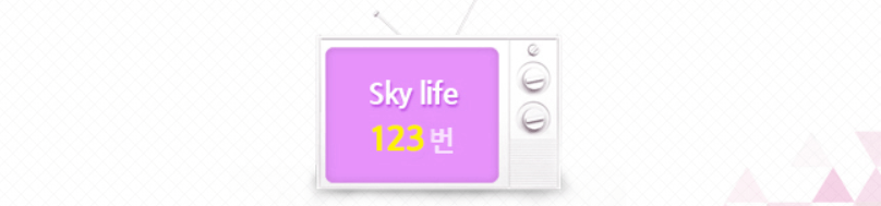 이벤트 TV 채널번호