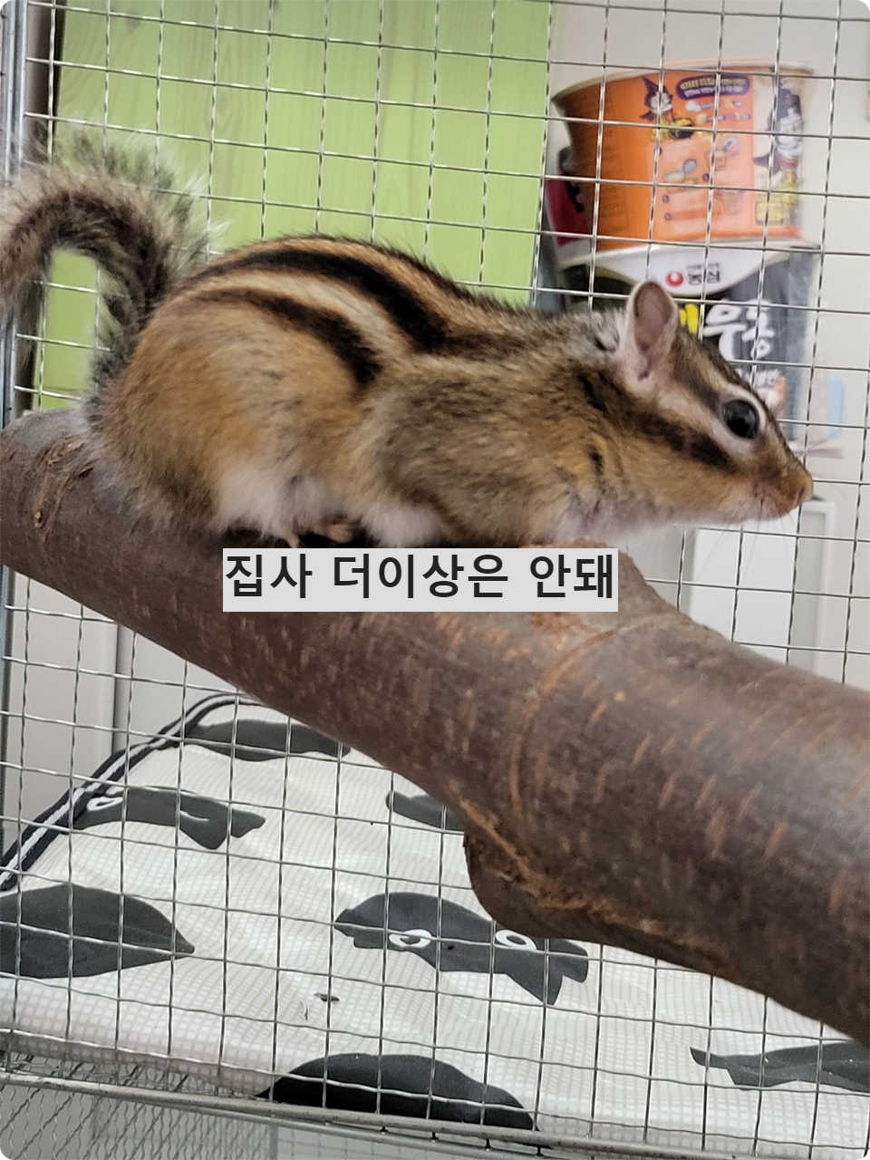 아~ 더이상은 안돼~