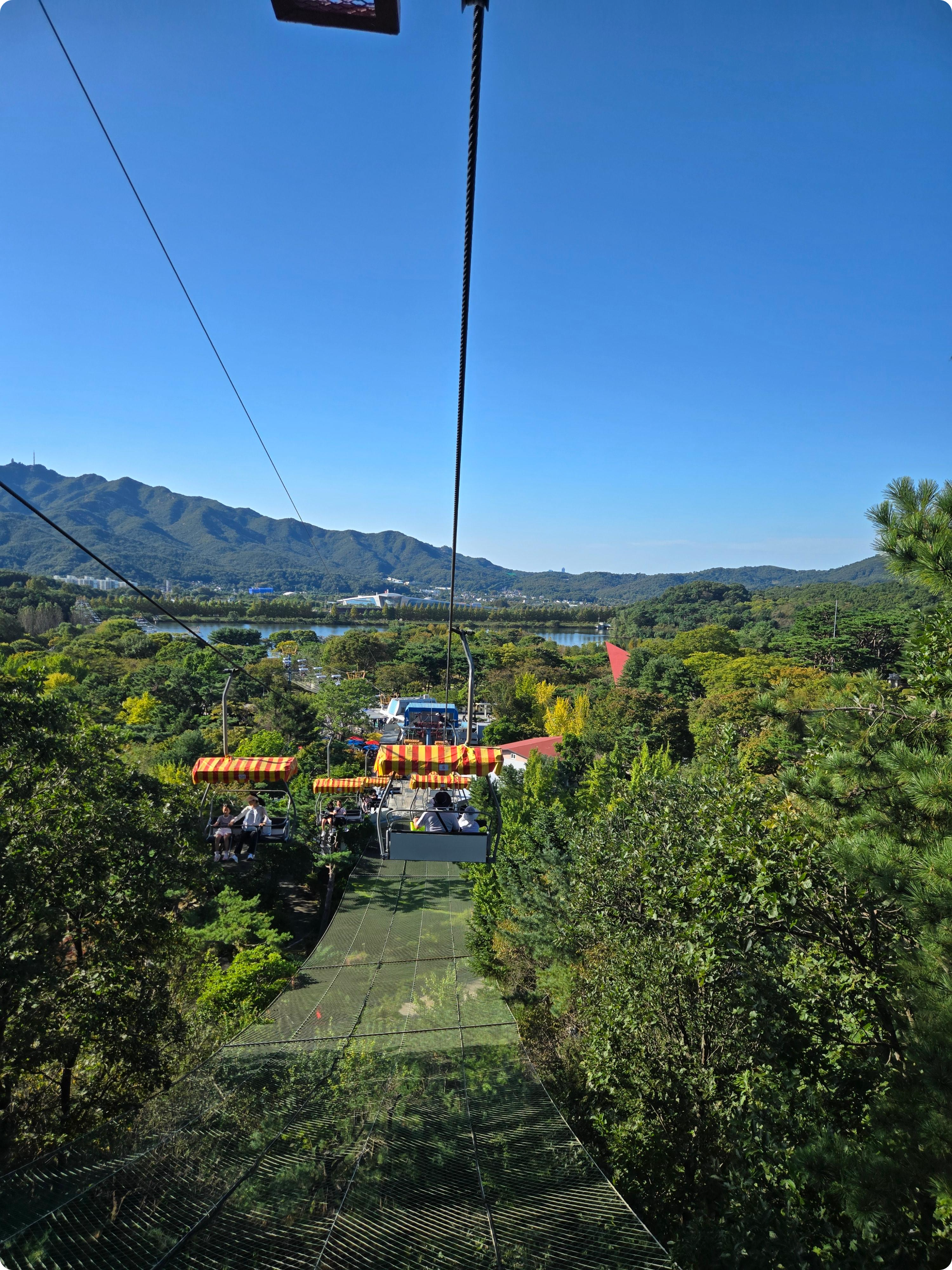 서울대공원 동물원 리프트 탑승 후기