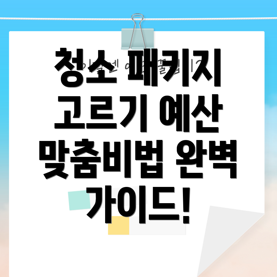 이사 청소 패키지