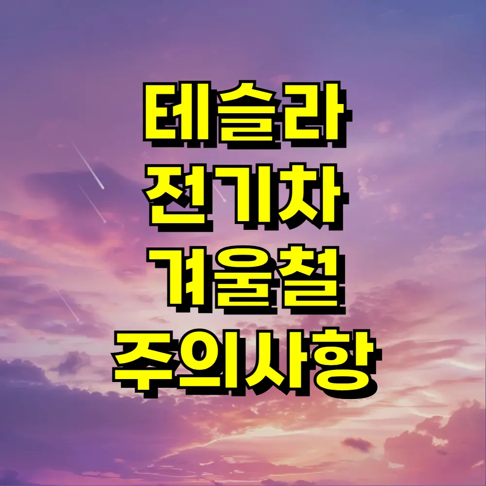 테슬라 전기차 겨울철 주의사항