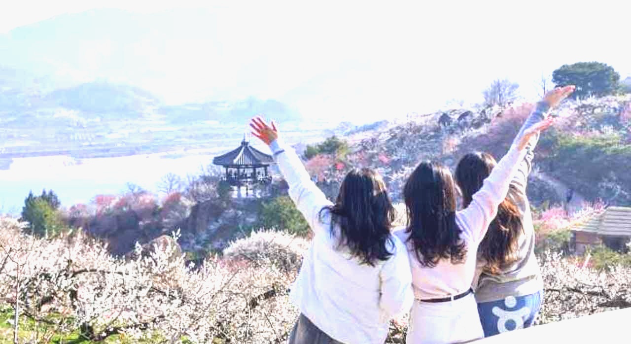 봄이 찾아온 광양 매화마을의 전경. [ⓒ한국관광 콘텐츠랩-라이브스튜디오]