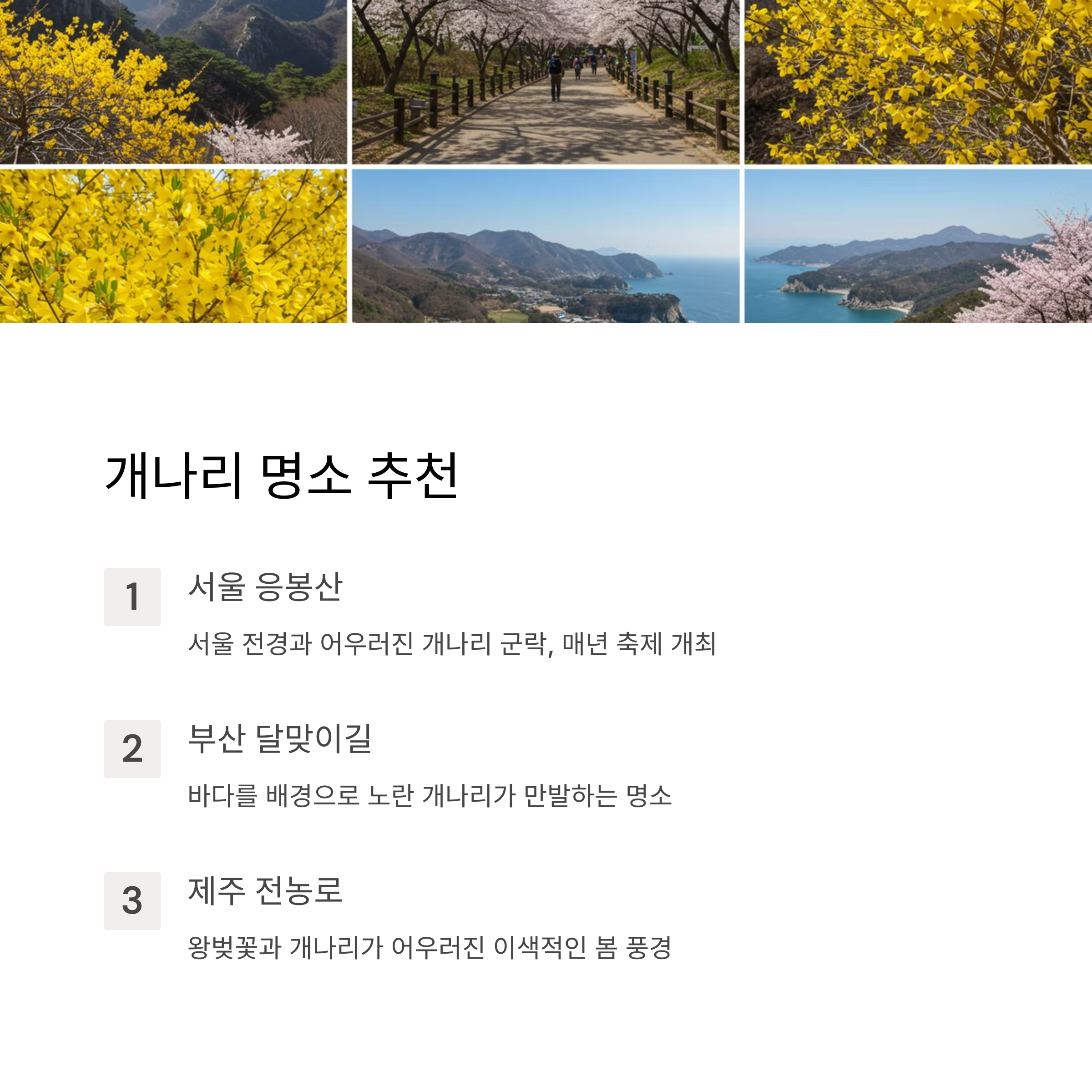 개나리 명소 추천