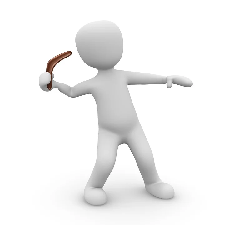 던지면 자신에게 되돌아오는 부메랑 효과