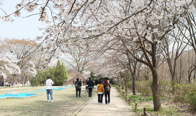봄 국내 여행지