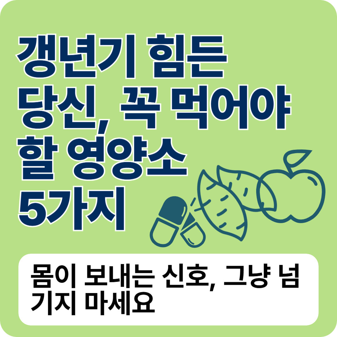 갱년기에 꼭 먹어야 할 영양소