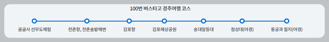 경주100번 버스코스