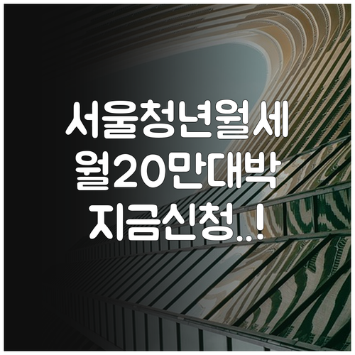 2026년 서울 청년월세지원 온라인 ..