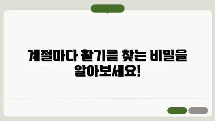 풍수지리와 사계절: 계절별 에너지 조절 방법