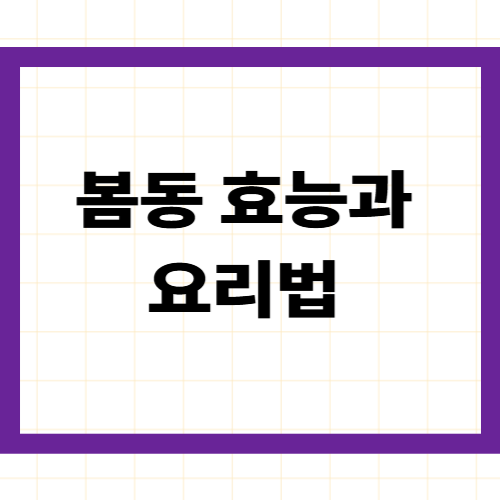 봄동 효능과 요리법 2026 —겉절이·비빔밥·나물무침제철 봄동 200% 활용 완벽 가이드