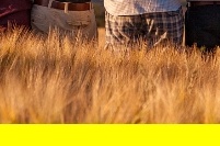 정부청년복지 지급일정&amp;#44; 정부청년복지 온라인접수&amp;#44; 정부청년복지 중복신청&amp;#44; 정부청년복지 대상자조회