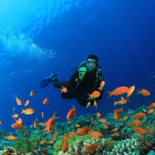 막탄(Mactan) &ndash; 리조트 근처에서 즐기는 캐주얼 다이빙 (출처:쿠차)