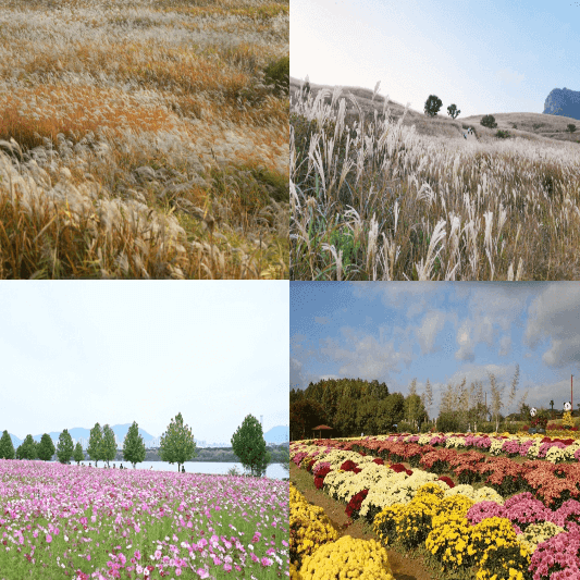 10월축제안내-썸네일