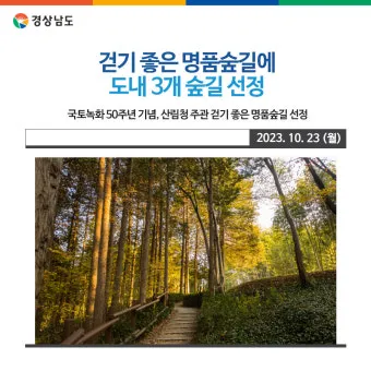 걷기좋은 명품 숲길 30선 숨겨진 코스_14