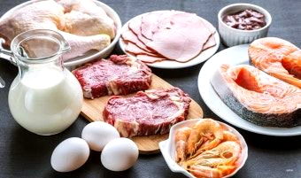 여자 남자 다이어트 하루 단백질 몇g? 몸무게 계산법