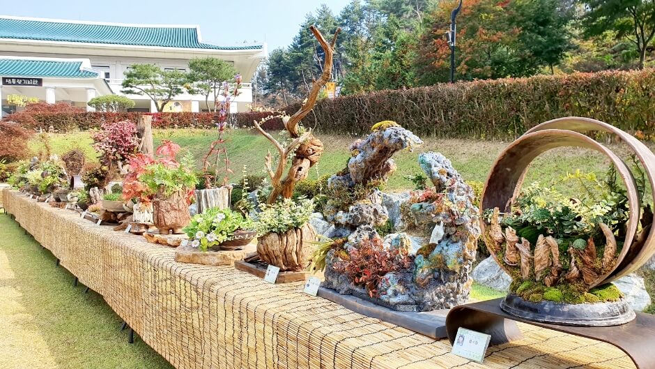 대전 세종 충청 4월 축제 일정 