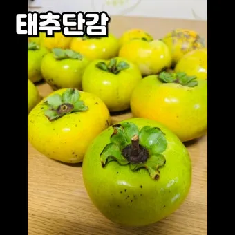 태추단감 이란 아직도 그냥 단감이라고 생각하세요 feat 일반 단감과 완벽 비교 분석으로_18