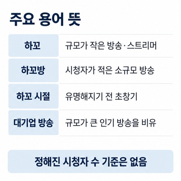 하꼬 하꼬방 하꼬 시절 대기업 방송의 의미와 사용 예를 비교한 인터넷 방송 용어 이미지