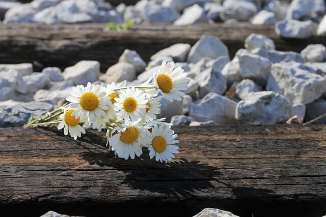 사망신고 기간 필요서류 알아보기