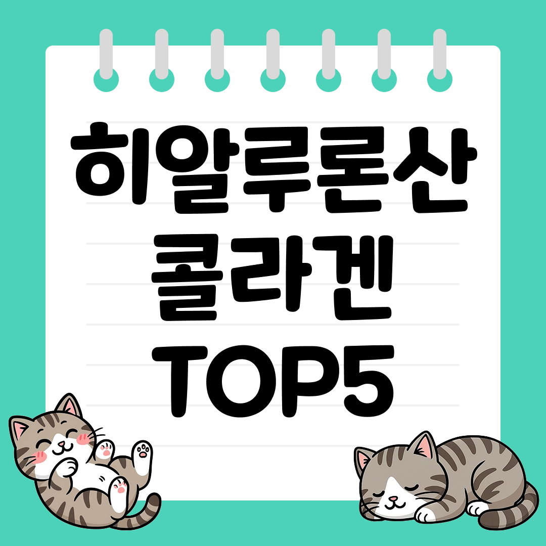 탱탱하고 촉촉한 피부를 위한 히알루론산 콜라겐 추천 TOP5