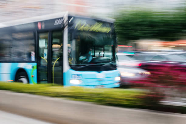 시외버스 배차정보