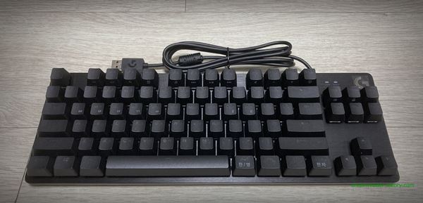 로지텍 기계식 키보드 G413 TKL SE 2022년 5월~9월 LED 껐을 때