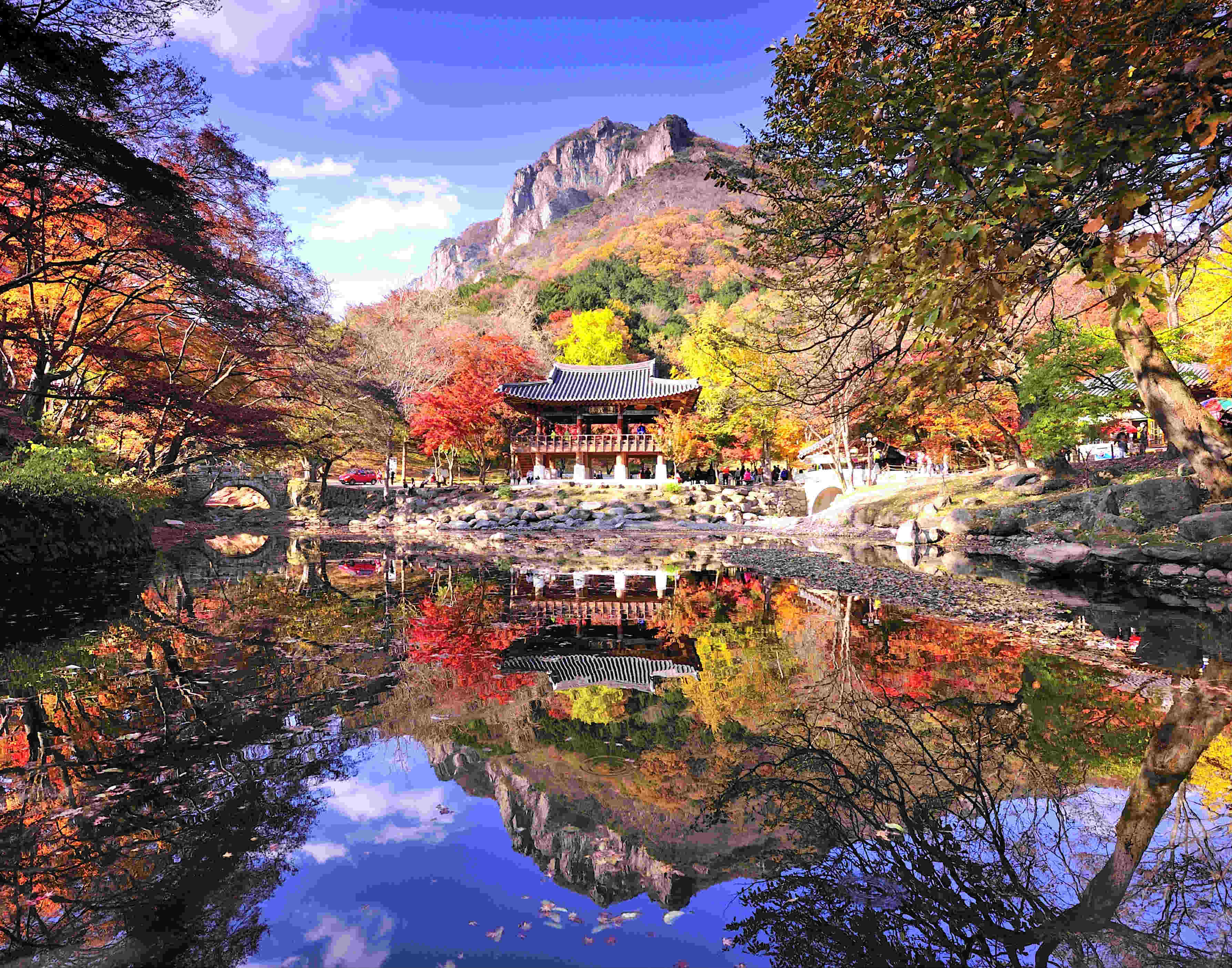단풍