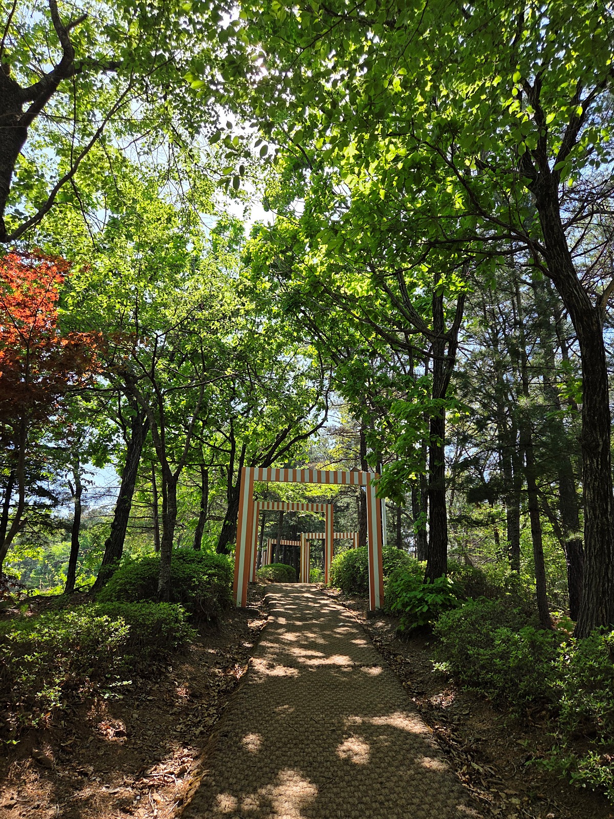 김포 가볼 만한 곳|자연과 예술이 공존하는 세계 유일의 김포국제조각공원 산책