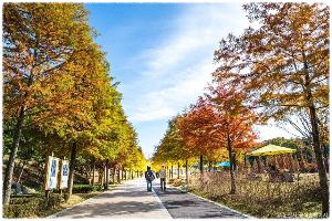 논산시민가족공