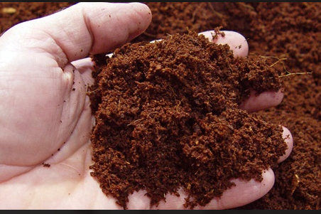 사주명리학으로 보는 토 오행의 기본 성격, 해석, 인간관계 특성