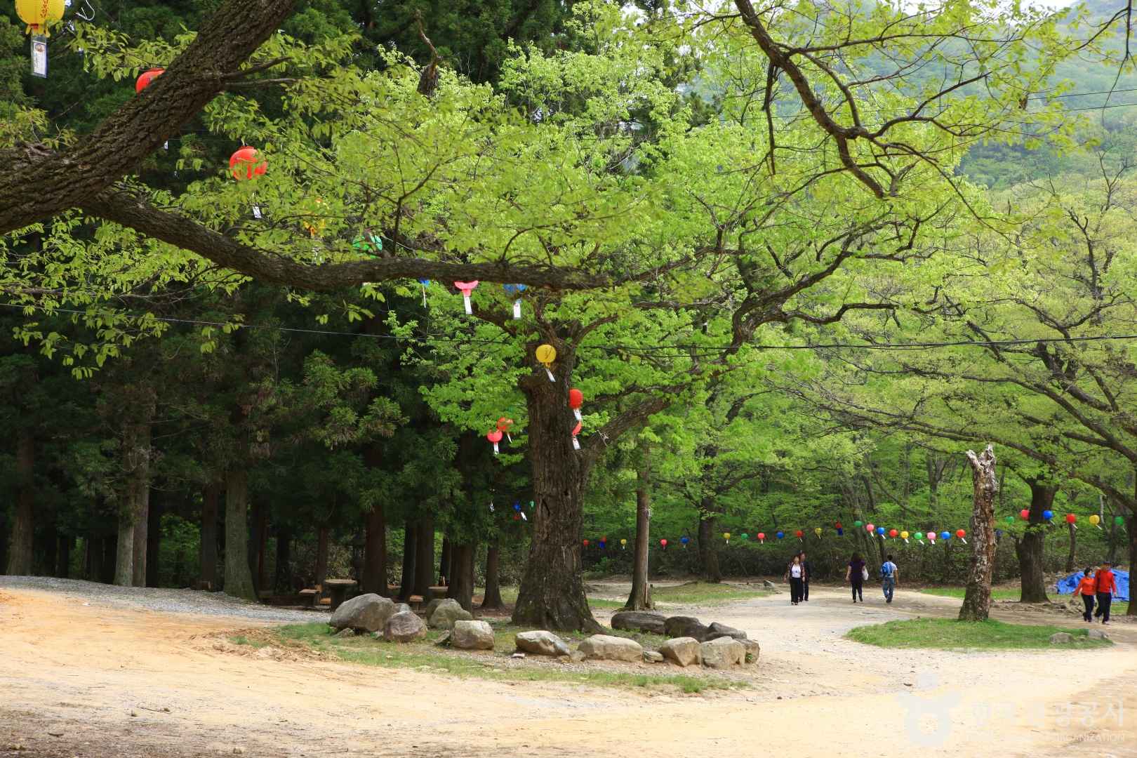 순천 선암사