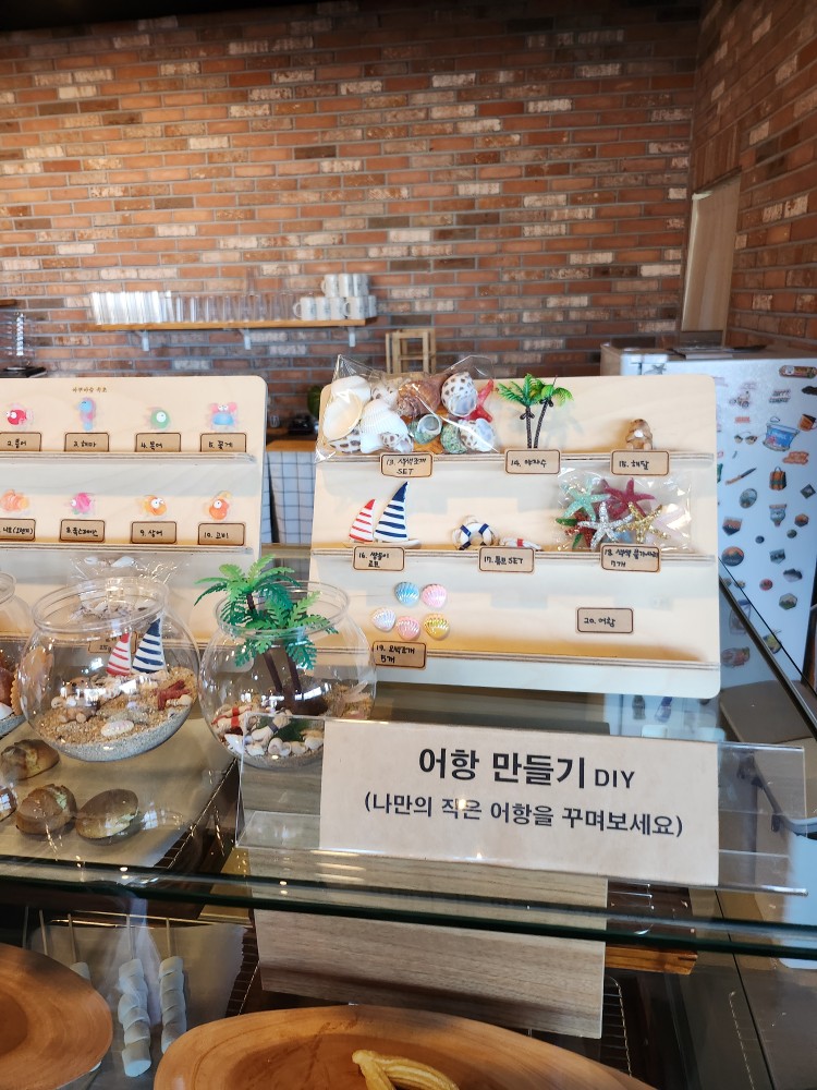 어항 만들기 키트