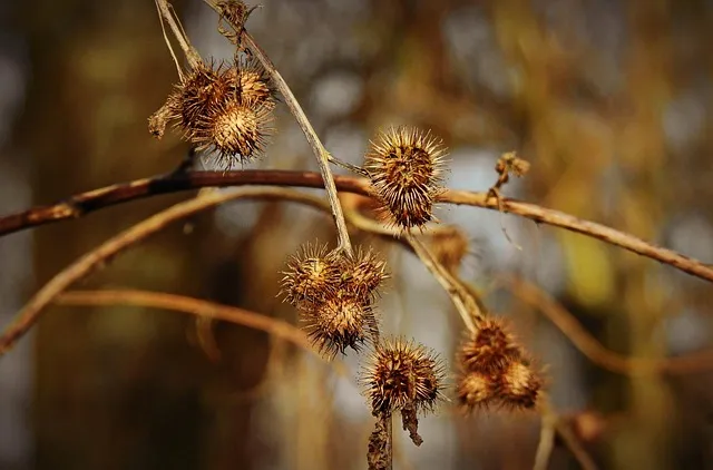 민수기 31장 설교 아이디어 구약 말씀 준비_4