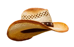 여름철 온열질환 집중기간 지역 보건소 지원서비스